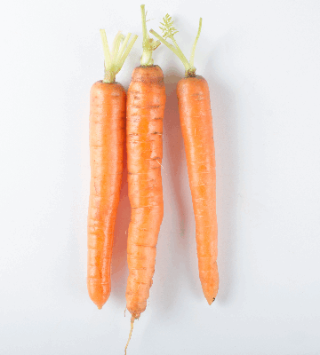 Long Orange Carrots