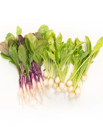 Petite Mixed Turnip