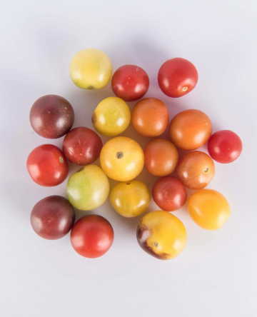 Tomatoes - Mixed Specialty Pint