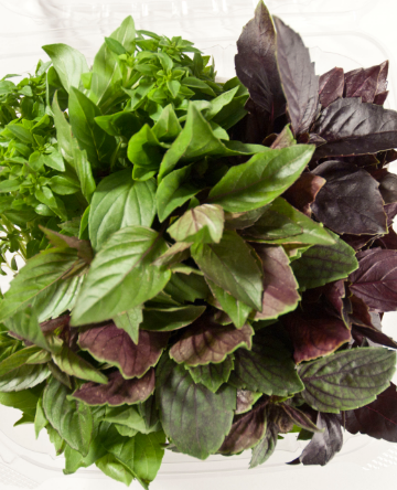 Basil Sampler