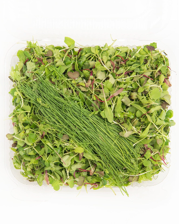 Superfood Blend