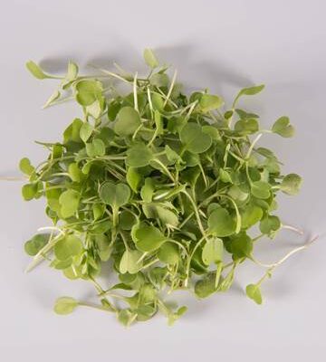 Micro Arugula